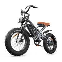 JANSNO Bicicletta Elettrica 20" x 4.0 Fat Tire, 7 Velocità Bici Elettrica, Freni a Disco Meccanici Anteriori e Posteriori, E-Bike per Adulti, Batteria Rimovibile 48V 14Ah