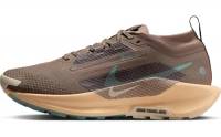 NIKE Pegasus Trail 5 Gore-Tex Mink Brown/Cannon-Orange Chalk 40 EU