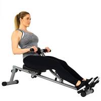 Sunny Health & Fitness Unisex sf-rw1205 Indoor Rowering Machine, Argento, M