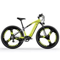 RICH BIT M520 Bici elettrica, Mountain bike elettrica da 29 pollici, Batteria agli ioni di litio 48V * 14AH Ebike a 7 velocità (verde)