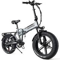 SAMEBIKE XWLX09 Fat Tire Bicicletta elettrica Bicicletta elettrica Mountain Beach Snow Ebike 20 pollici per adulti (Grigio)