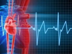 calcola la frequenza cardiaca per bruciare i grassi calcola la frequenza cardiaca per bruciare i grassi